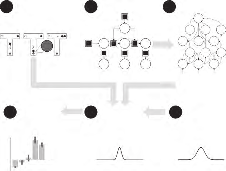 图9.2：模型分析流程图
