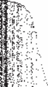 图9.3：从印度自助餐过程采样的二进制矩阵，α = 10