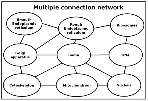 多重连接网络示例