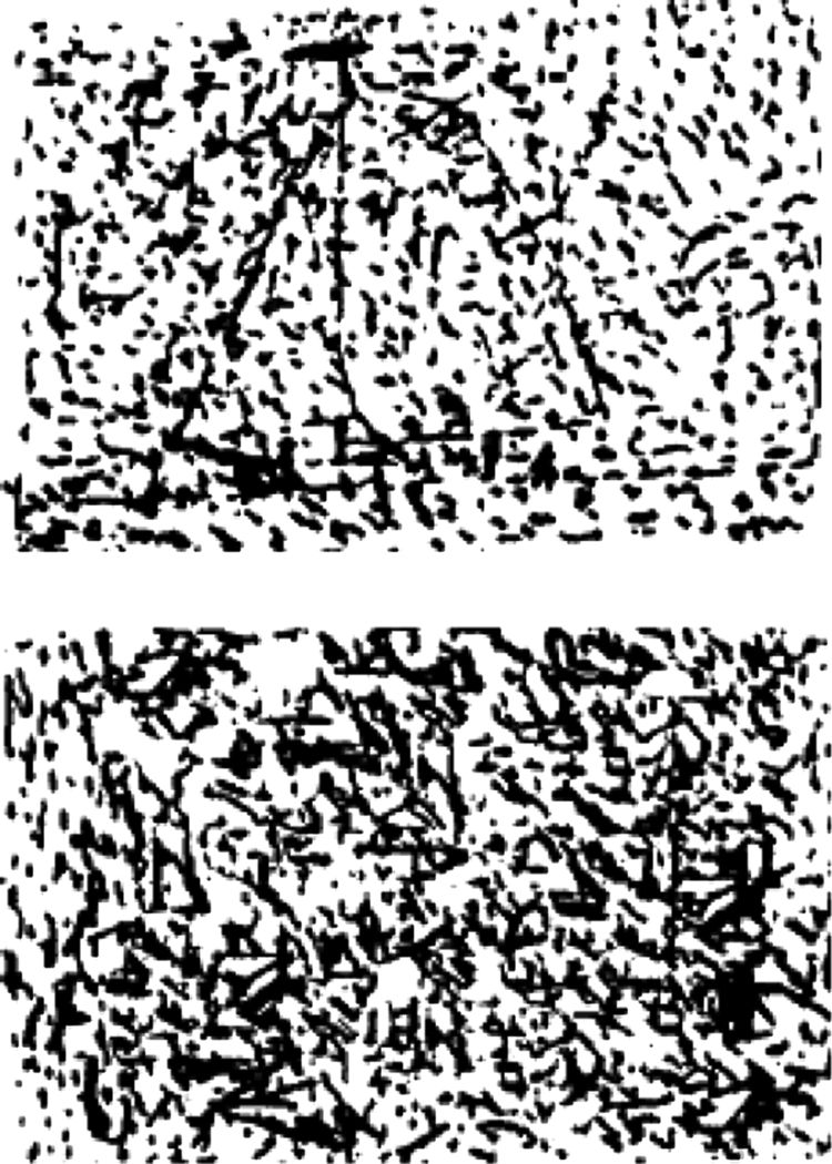 图18：噪声中有模式吗？