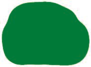 多张相关活动图片