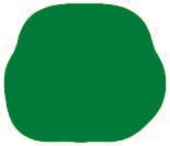 多张相关活动图片